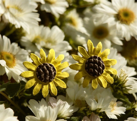 Sunflower Earrings