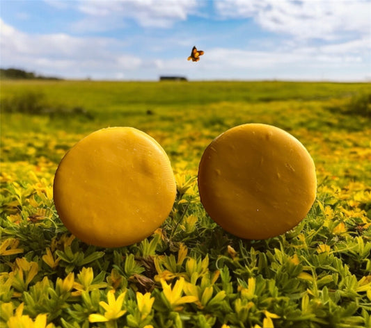 Mustard Button Earrings