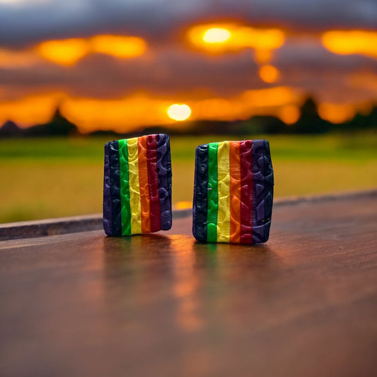 Rainbow Flag Earrings